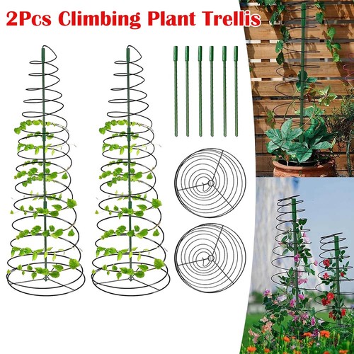 Sturdy adjustable plant - 2x,