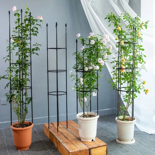 Stackable plant support - stackable,