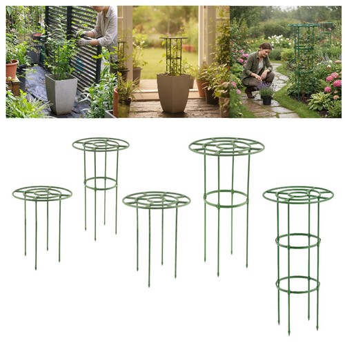 Trellis for climbing plants - climbing,