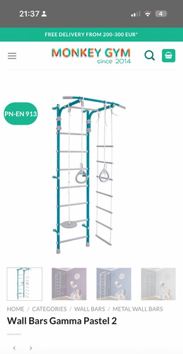 Monkey gym climbing frame - monkey,