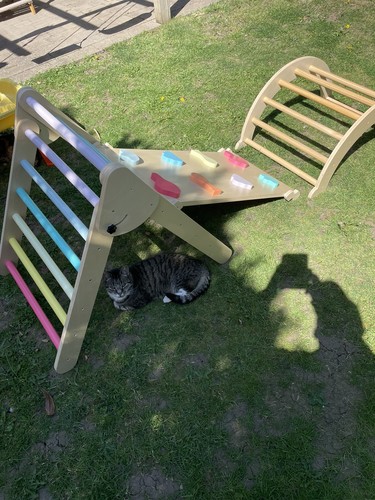 Toddler climbing frame - climbing,