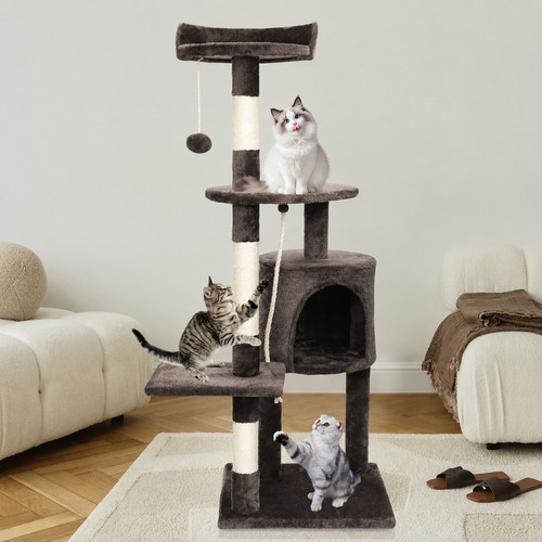 Cat tree climbing frame - frame, indoor