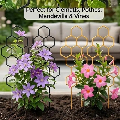 Climbing frame honeycomb - frame,